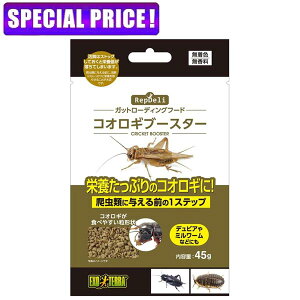 �y���j�Ŏs�zGEX�@�G�L�]�e���@RepDeli�R�I���M�u�[�X�^�[�@45g