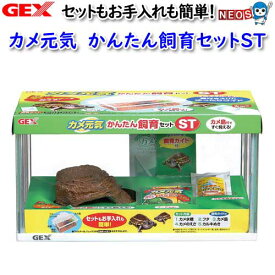 GEX　カメ元気　かんたん飼育セットST【爬虫類/両生類/用品】【通販/販売】