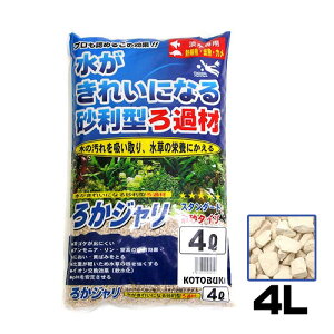 コトブキ ろかジャリ 4L 【水槽/熱帯魚/観賞魚/飼育】【生体】【通販/販売】【アクアリウム/あくありうむ】【小型】