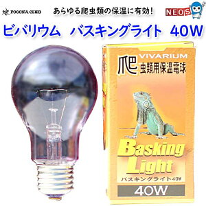 |SiENu@roE@oXLOCg@40W