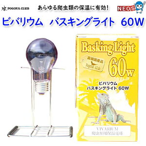 |SiENu@roE@oXLOCg@60W