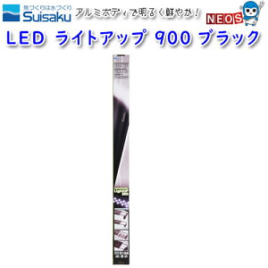 @LED@CgAbv@900@ubN