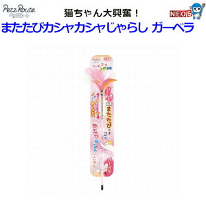 Ё@ybc[g@܂уJVJV炵 K[x