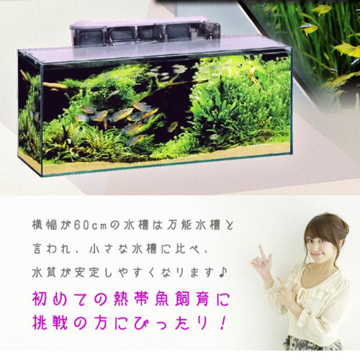 楽天市場】【水槽set】スーパーSET 13点 60cm 水槽セット 初心者の 