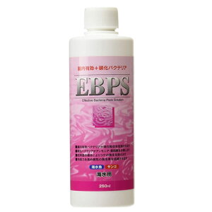 \lP~t@@EBPS(Cp)250ml@y/Mы/Ϗ܋/zýzyʔ/̔zyANAE/肤ށzy^z