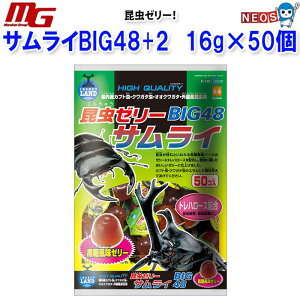 }J@[[@TCBIG48+2@16g×50