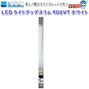 @LED@CgAbvX@900VT@zCg