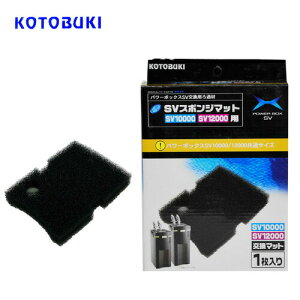 RguL@p[{bNXSV10000/12000p@X|W}bg@1