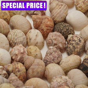 yjŎszLk~bNX@(50)(1`1.5cm)