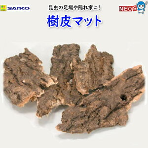 �O�W����@����}�b�g�@198