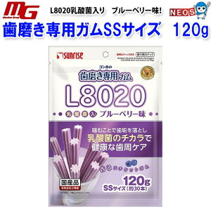 }J@S̎pKSSTCY@L8020_ۓ@u[x[@120g(30{)