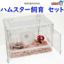 楽天市場】ハムスター 初期 セットの通販