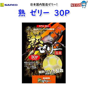 �O�W����@�n�@�[���[�@30P�@T33