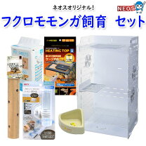 楽天市場】モモンガ 飼育 セットの通販