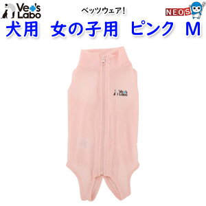 WpybgR~jP[VY@p@xbcEFA@̎qp@sN@M