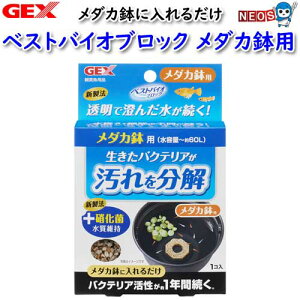 GEX@xXgoCIubN_Jpy/Mы/Ϗ܋//Zbg/IuWFzýzyʔ/̔zyANAE/肤ށz