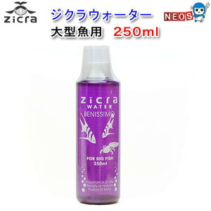 WN@EH[^[iE^AE[p[[p[pj@250ml@s