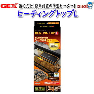 GEX@q[eBOgbvL