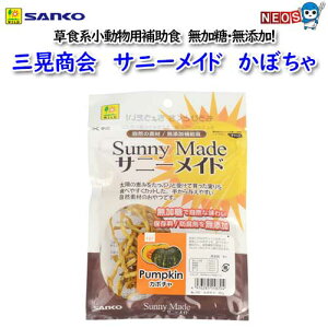 �O�W����@�T�j�[���C�h�J�{�`���@No.F87