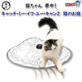 猫壱　キャッチ・ミー・イフ・ユー・キャン2　猫のお庭
