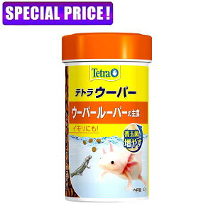 yjŎszeg@E[p[[p[̎H@47g