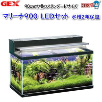 お譲り先決定‼️‼️ 大型水槽 900水槽フルセット 水槽機材