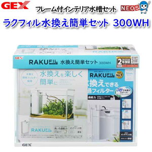 GEX@NtBȒPZbg300WH