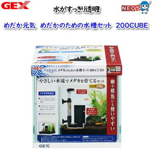 GEX@_JC_Jׂ̈̐S 200Cube