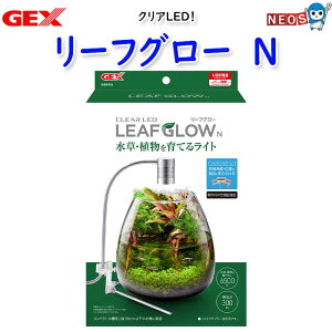 GEX@NALED@[tO[@N