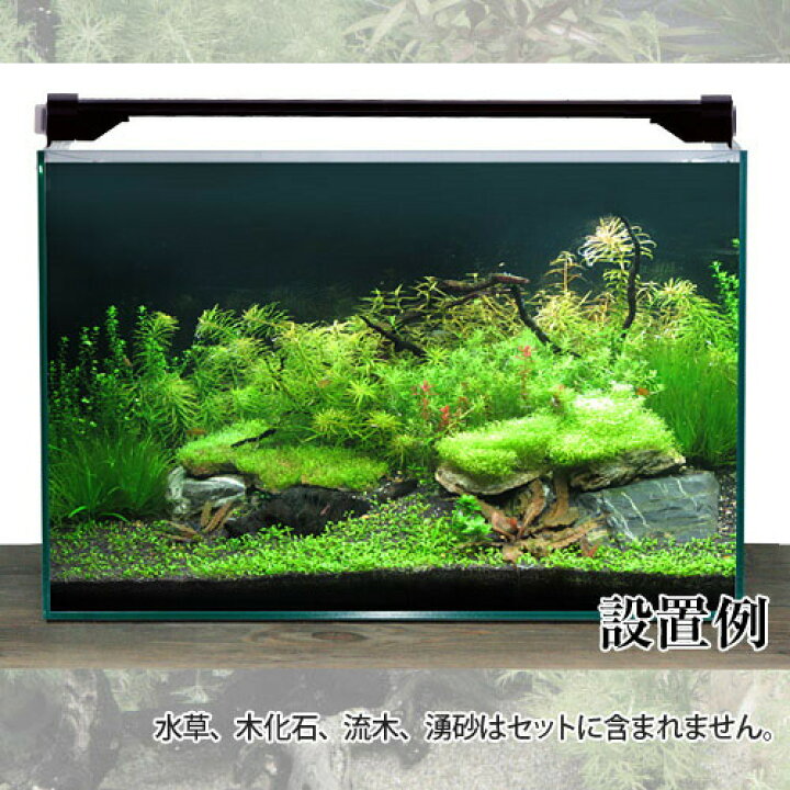 楽天市場】【水槽set】新ハイクオリティ豪華20点 60cm水槽セット High 