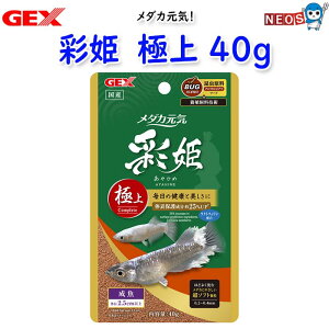 GEX@_JC ʕP@ɏ 40g