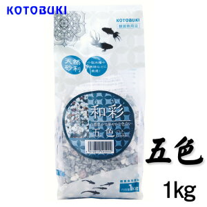 RguL@a ܐF()1kg@y/Mы/Ϗ܋/zýzyʔ/̔zyANAE/肤ށzy^z