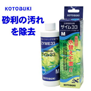 RguL@UC33 M@y/Mы/Ϗ܋/zýzyʔ/̔zyANAE/肤ށzy^z