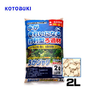 RguL@납W 2L@y/Mы/Ϗ܋/zýzyʔ/̔zyANAE/肤ށzy^z