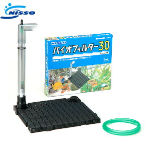 jb\[@oCItB^[@30@NBB-011@y/Mы/Ϗ܋/zýzyʔ/̔zyANAE/肤ށzy^z