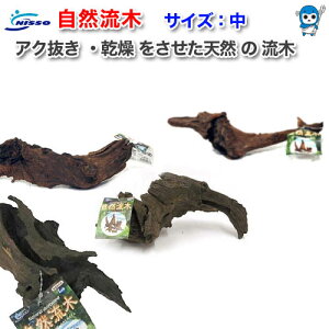 jb\[@R؁ij y`󂨂܂z@y/Mы/Ϗ܋/zýzyʔ/̔zyANAE/肤ށzy^z