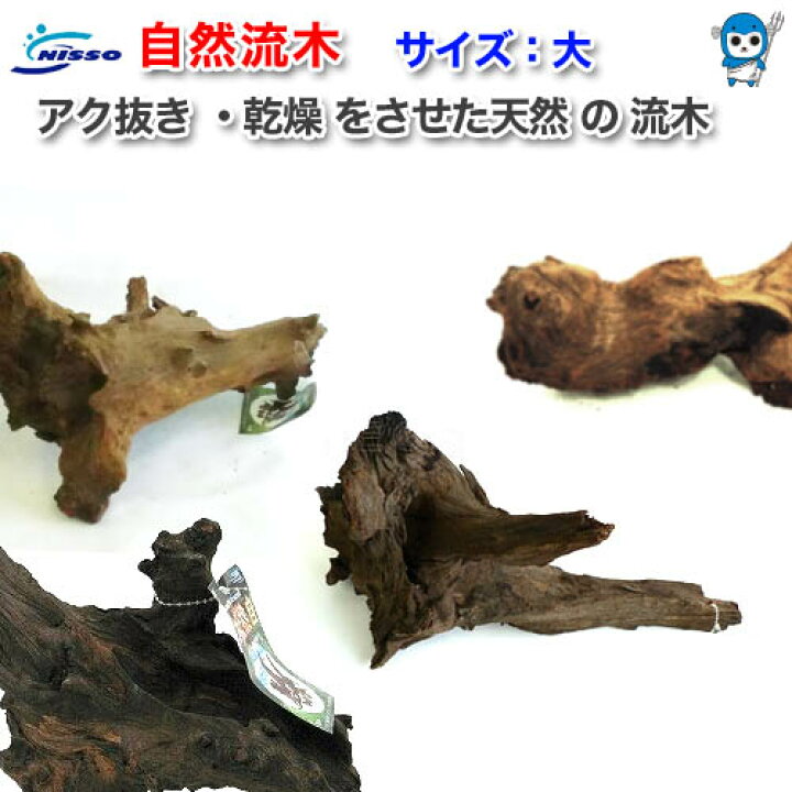 楽天市場 ニッソー 自然流木 大 水槽 熱帯魚 観賞魚 飼育 生体 通販 販売 アクアリウム ネオス 楽天市場店