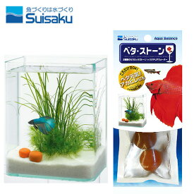 水作　ベタストーン　【水槽/熱帯魚/観賞魚/飼育】【生体】【通販/販売】【アクアリウム/あくありうむ】【小型】