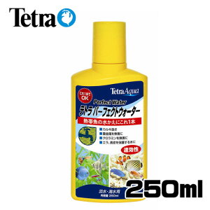 eg@܃p[tFNgEH[^[250ml@y/Mы/Ϗ܋/zýzyʔ/̔zyANAE/肤ށzy^z