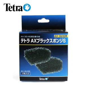 テトラ AXブラックスポンジS 【水槽/熱帯魚/観賞魚/飼育】【生体】【通販/販売】【アクアリウム/あくありうむ】【小型】