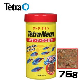 楽天市場 ネオンテトラ エサ 熱帯魚 アクアリウム ペット ペットグッズの通販