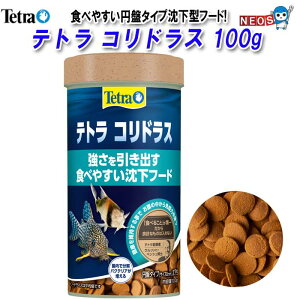 eg@RhX 120g@ya  GTzyϏ܋@azy/Mы/Ϗ܋/zýzyʔ/̔zyANAE/肤ށzy^z