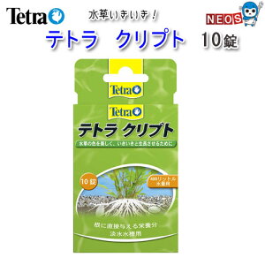 テトラ クリプト 10錠入 【水槽/熱帯魚/観賞魚/飼育】【生体】【通販/販売】【アクアリウム/あくありうむ】【小型】