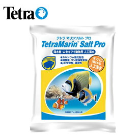 楽天市場 熱帯魚 ソルトの通販