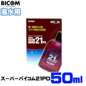 oCR@X[p[oCR21PD Cp@50mly񏤕iz@y/Mы/Ϗ܋/zýzyʔ/̔zyANAE/肤ށzy^z
