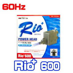 J~n^@IvXRio+600 p[wbh 60Hzy񏤕iz@y/Mы/Ϗ܋/zýzyʔ/̔zyANAE/肤ށzy^z