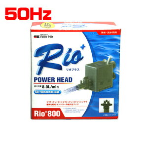 J~n^@IvXRio+800 p[wbh 50Hz@y/Mы/Ϗ܋/zýzyʔ/̔zyANAE/肤ށzy^z