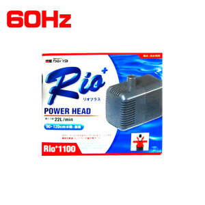 カミハタ リオプラスRio+1100 パワーヘッド 60Hz【取寄商品】 【水槽/熱帯魚/観賞魚/飼育】【生体】【通販/販売】【アクアリウム/あくありうむ】【小型】