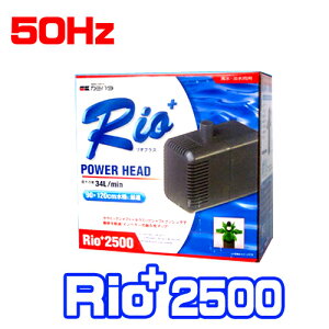 J~n^@IvXRio+2500 p[wbh 50Hz@y/Mы/Ϗ܋/zýzyʔ/̔zyANAE/肤ށzy^z