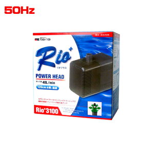 カミハタ リオプラスRio+3100 パワーヘッド 50Hz 【水槽/熱帯魚/観賞魚/飼育】【生体】【通販/販売】【アクアリウム/あくありうむ】【小型】